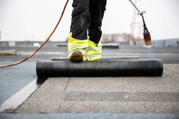 Best Solar Panel Roofing Installation  in Brookdale, CA